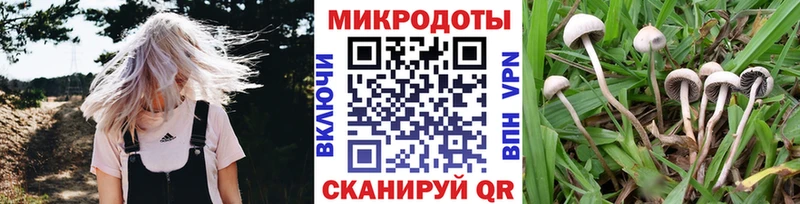 hydra ТОР  Каменск-Уральский  Псилоцибиновые грибы Cubensis 
