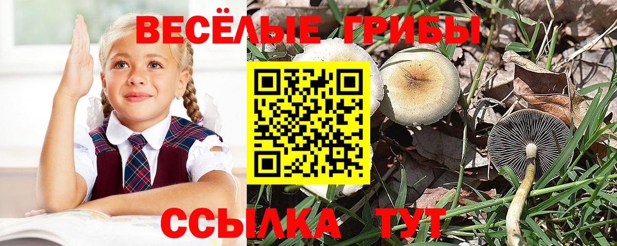 Галлюциногенные грибы Cubensis  Вход с VPN  Каменск-Уральский 