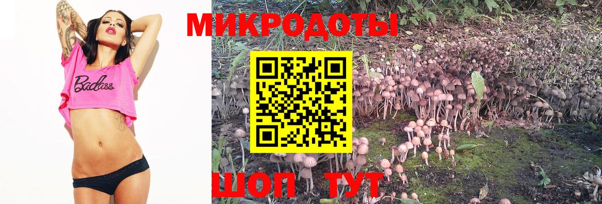 Галлюциногенные грибы мухоморы Каменск-Уральский